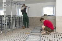 Zuchtschweinestall Bau 3