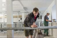 Zuchtschweinestall Bau 8