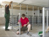 Zuchtschweinestall Bau 14