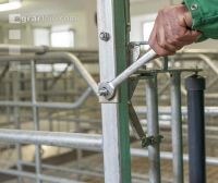 Zuchtschweinestall Bau 23