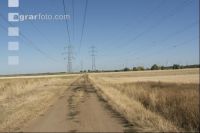 Dürre im Ackerland 1