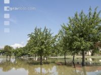 Hochwasser 4