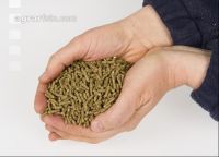 Kaninchen vital 4