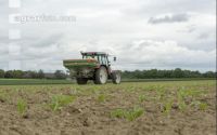 Beet fertilisation 26