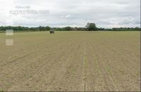 Beet fertilisation 25
