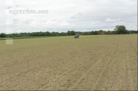 Beet fertilisation 24