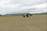 Beet fertilisation 23