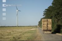 Strohtransport 4