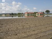 Erdbeeren Hochwasser  