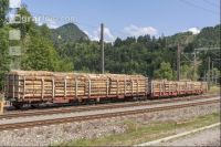 Zug Holztransport 4