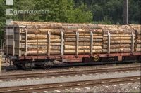Zug Holztransport 3