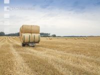 Rundballen Stroh 21