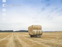 Rundballen Stroh 20