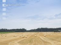 Rundballen Stroh 17