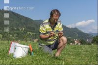 Weide bonitieren 3