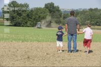 Kinder am Feld 2