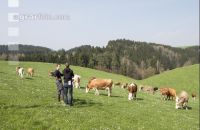 Diskussion Weide 20