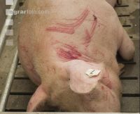 Injury after fight
