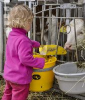 Kinder im Kuhstall 5