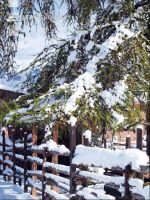 Wintereinbruch 15