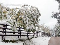 Wintereinbruch 14