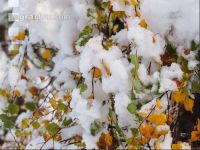 Wintereinbruch 13