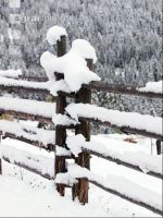 Wintereinbruch 10