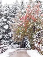 Wintereinbruch 9
