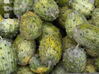 Kiwano