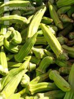 Okra