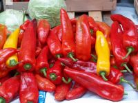 Paprika 21