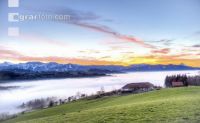 Nebel im Tal 21