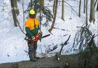 Baum ausasten 8