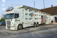 Ferkel Transport 10