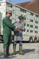 Ferkel Transportbescheinigung 3