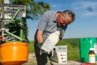 Gerste Blütespritzung 27