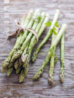 Spargel grün 3