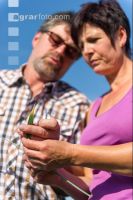 Weizen Fungizid Spritzschaden 2