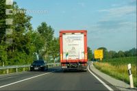 Schweine Transport 4