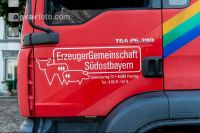 Schweine Transport 1