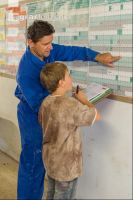 Vater und Sohn im Stall 1