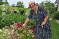 Green Care 3