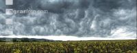Gewitterwolken 3