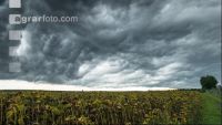 Gewitterwolken 4
