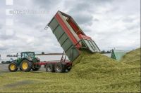 Silomais Silage 85