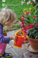 Watering 18
