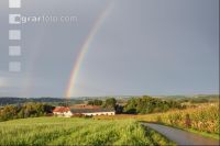 Regenbogen 4