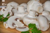Champignon 1