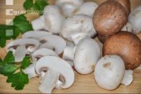 Champignon 2