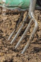 Spading fork 2